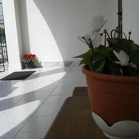 住宿加早餐酒店 Domu'e Luna Lunamatrona