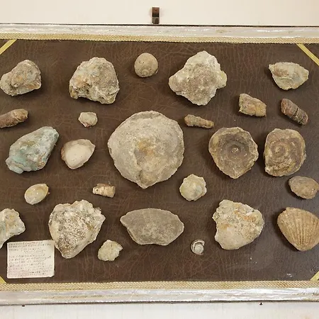 Domu'e Luna 住宿加早餐酒店 Lunamatrona