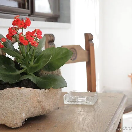 住宿加早餐酒店 Domu'e Luna Lunamatrona