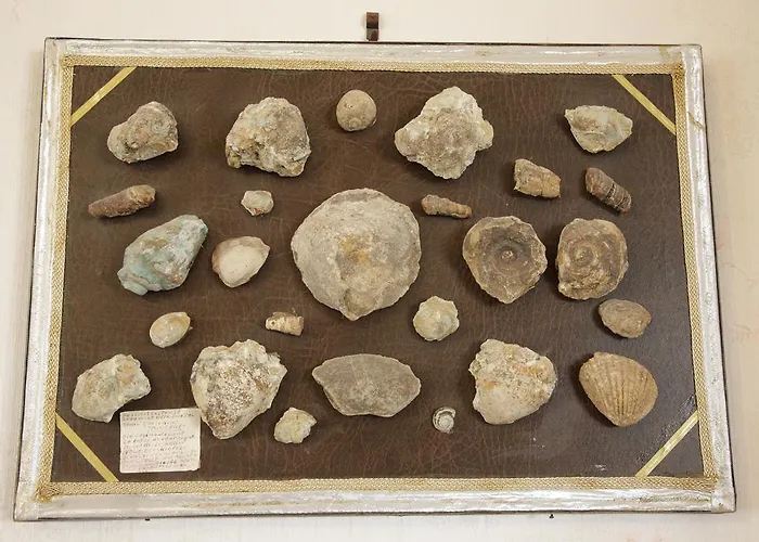 Domu'e Luna ベッド・アンド・ブレックファスト Lunamatrona