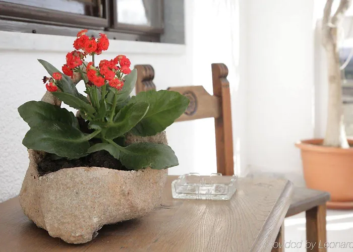 ベッド・アンド・ブレックファスト Domu'e Luna Lunamatrona