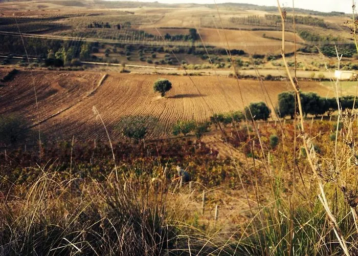 Domu'e Luna ベッド・アンド・ブレックファスト 2*